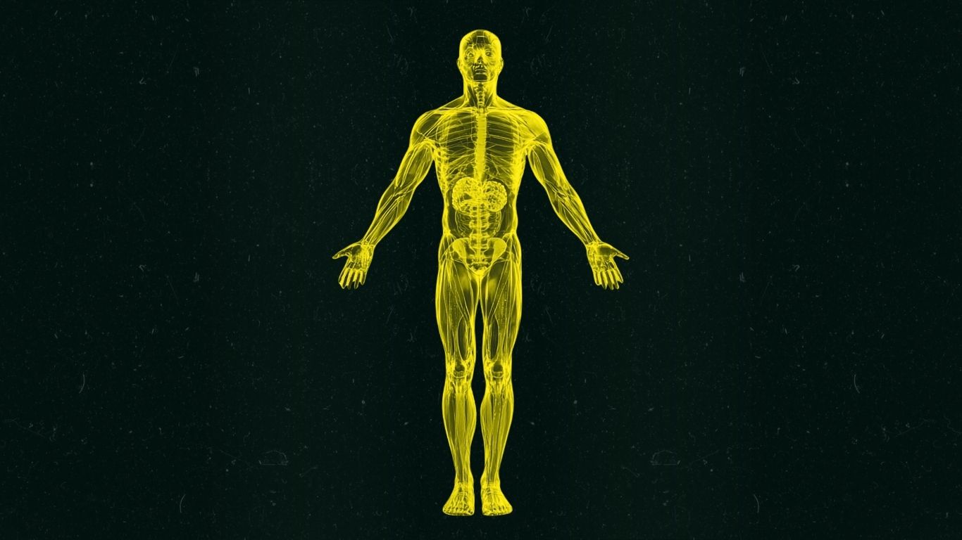 recursos sitio web (6)